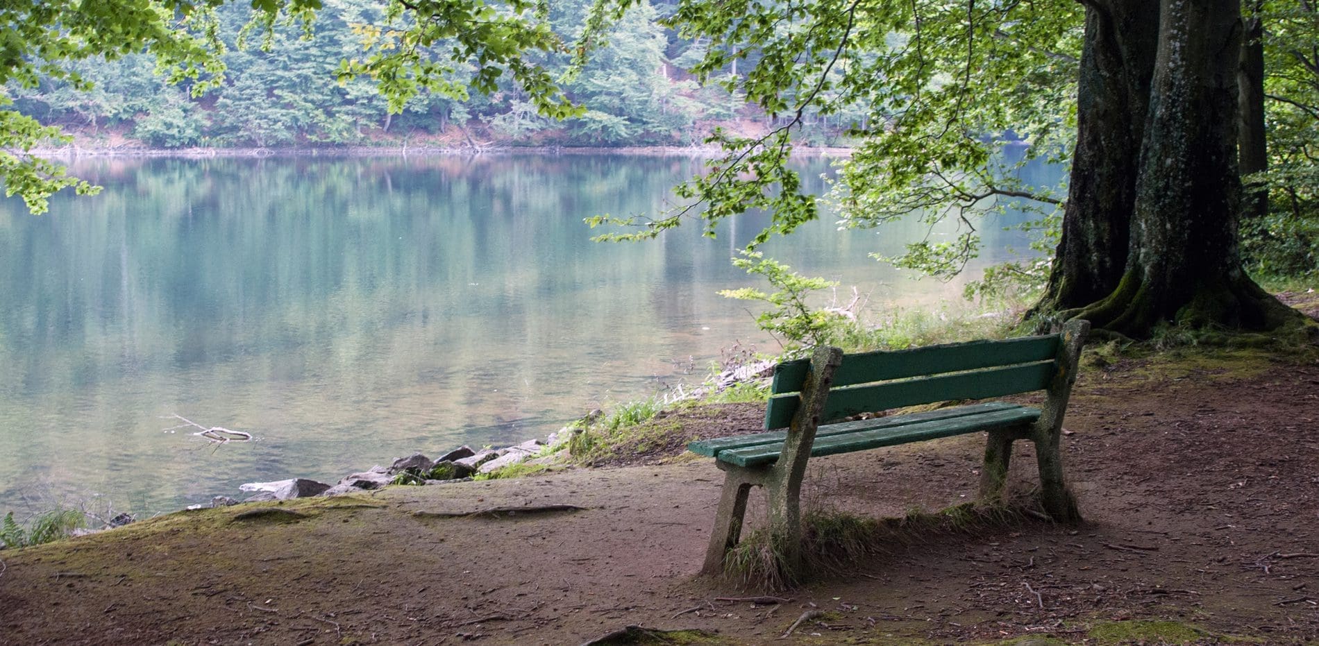 Trauerbegleitung – Unterstützungsangebote für Angehörige