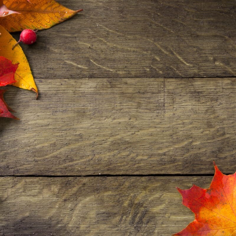 Buntes Herbstlauf auf einer Holz-Tischplatte